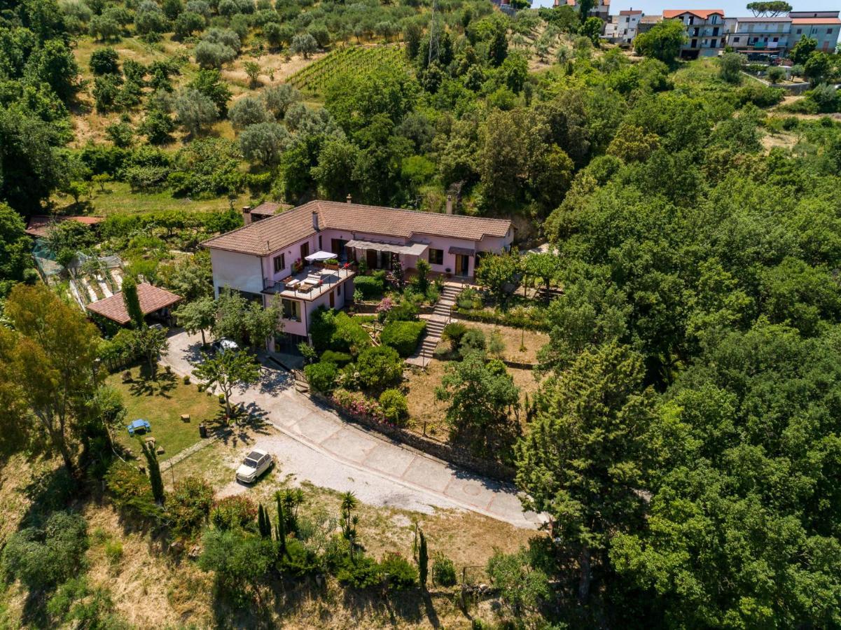 B&B Albachiara Casa Di Campagna Ogliastro Cilento Exterior photo