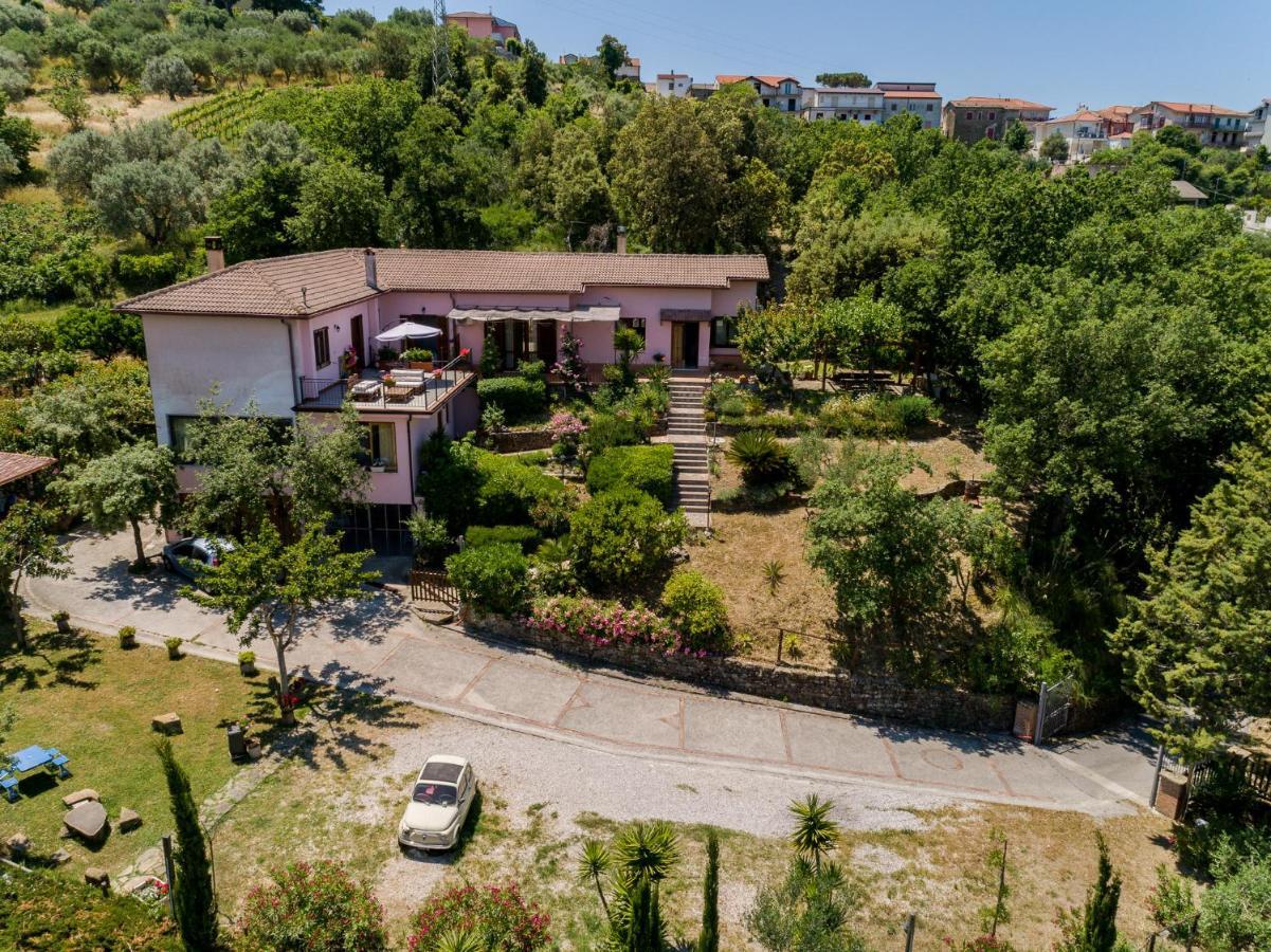B&B Albachiara Casa Di Campagna Ogliastro Cilento Exterior photo